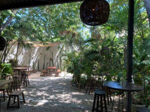 Cafe Botanica Garden 4 300x225