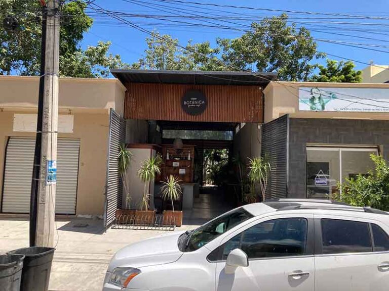 Cafe Botanica Garden 8 768x576