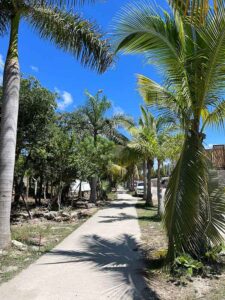 Camino a Boca Paila Guia de Tulum 225x300