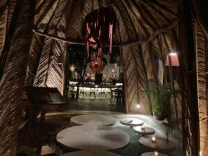 El agavero 8 300x225