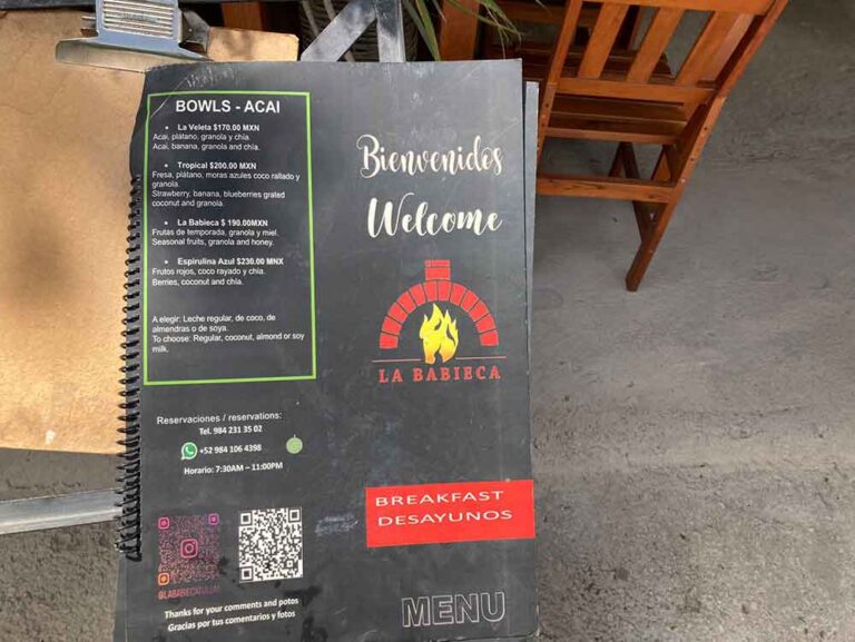 La babieca 5 768x577