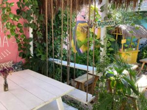 Matcha Mama 1 300x225