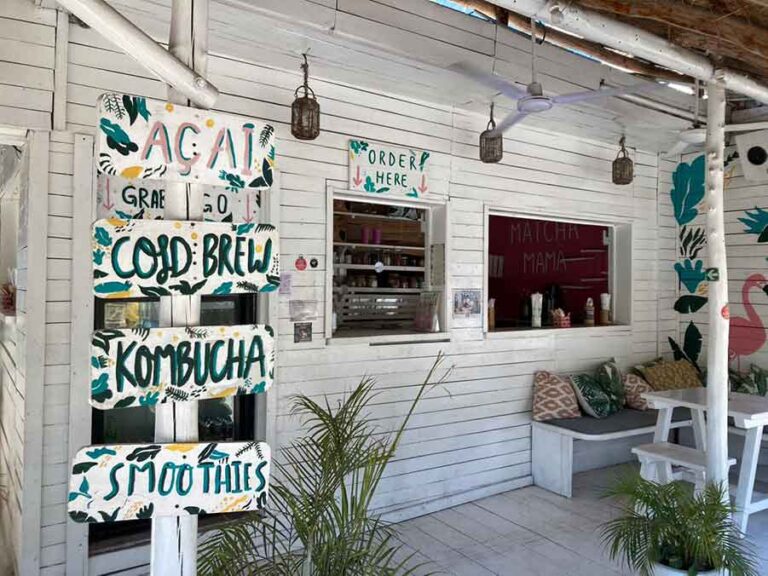 Matcha Mama 6 768x576