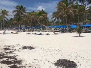 Playa Paraiso guia de tulum mexico 300x225