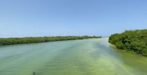 Rio en Puente Camino Punta Allen Sian Kaan 300x153