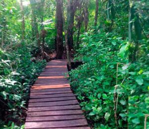 Visita Muyil ruinas mayas en tulum guia de tulum mexico 300x260