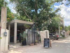 cafe amaro 11 300x225