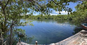 cenote pies descalzos Guia de Tulum 300x155