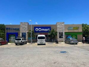 comercios gasolinera 1 300x225