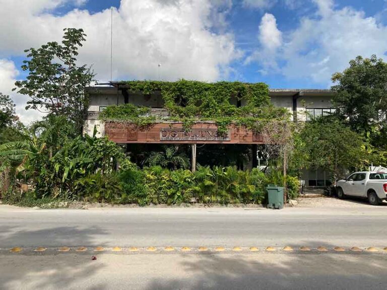 digital jungle Coworking 2 768x577