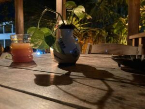 la guarida 3 300x225