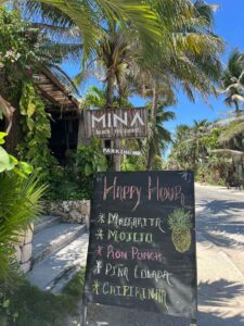 mina beach 3 225x300