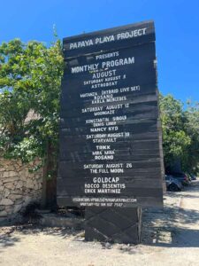 papaya playa 4 225x300