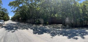 papaya playa 7 300x143