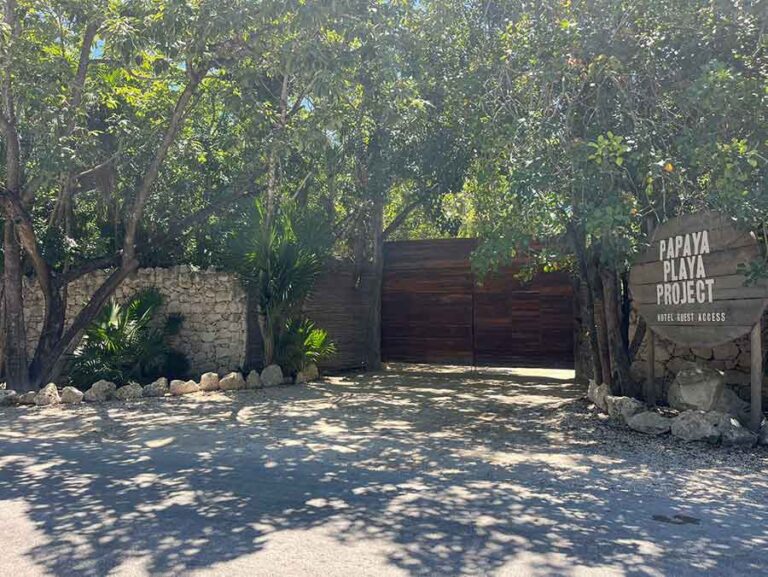papaya playa 8 768x577